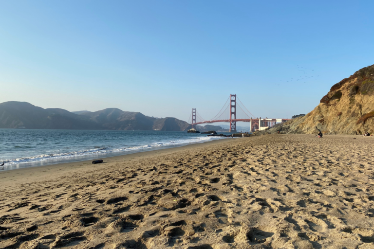 11 Free Things To Do In San Francisco